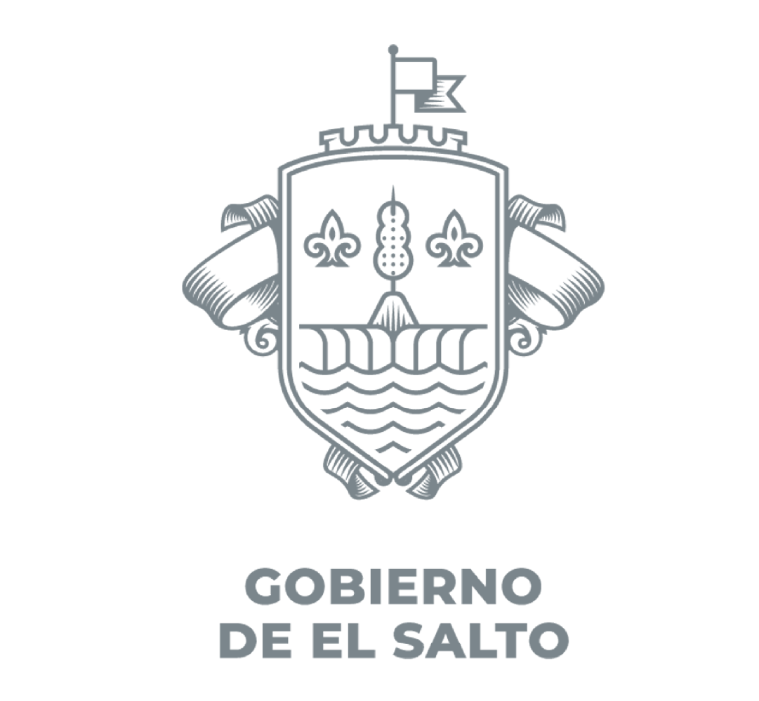 Icono de el salto