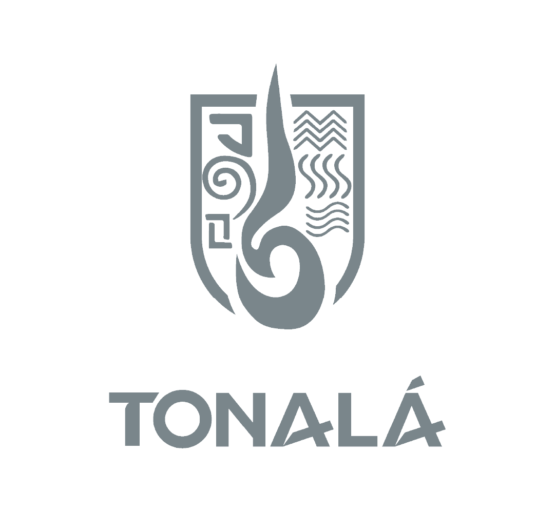 Icono de Tonalá