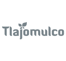 Icono de Tlajomulco